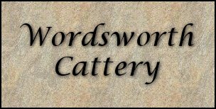 Wordsworth Persians